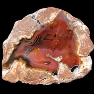 May include: A polished agate stone slice with a striking pattern of concentric bands in shades of red, brown, and cream. The natural stone features a variety of textures and colors, creating a unique and decorative piece. The agate is set against a black background.