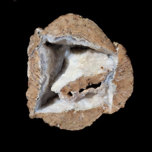 May include: A geode with a brown exterior and a white, crystalline interior. The geode is cut in half, revealing the crystals inside.