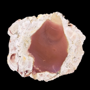 White Fir Springs jasper thunderegg polished display piece