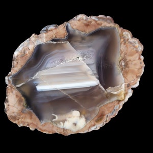 Lost Rabbit thunderegg polished display piece