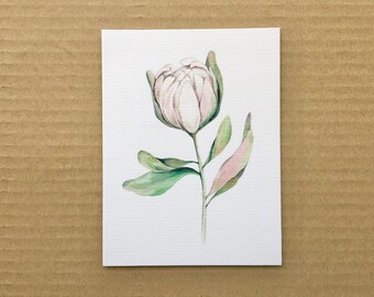 Greeting card, watercolor pastel flowers card, pale pink flowers note blank, blank cards, Holiday Postcard