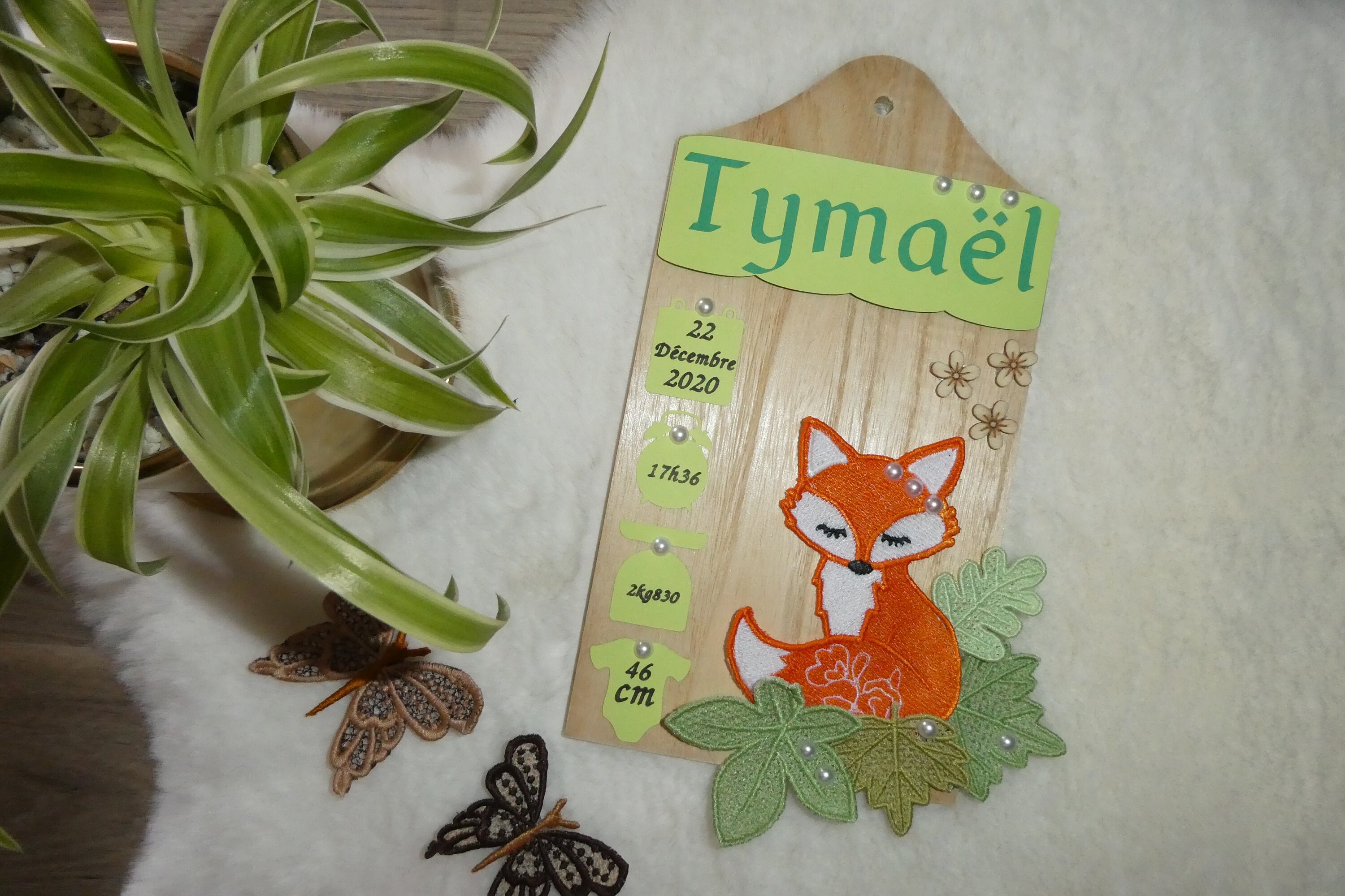 Cadre Naissance Animaux