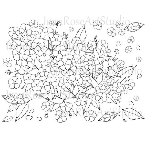 Coloring Book Pages Flowers - maltandmacabre