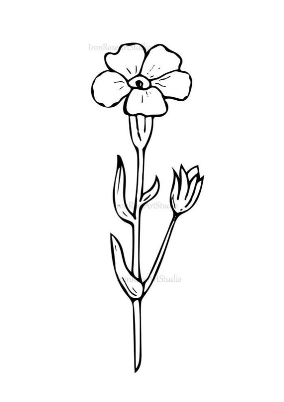 Download Botanical Illustration Book Pdf - Download Illustration 2020