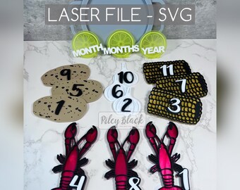DIGITALE DOWNLOAD Rivierkreeft Boil Milestone File svg, Cut File, Rainbow Baby, Milestone Set, Baby Boy, Baby Meisje, Maandelijkse Mijlpaal, Foto Prop