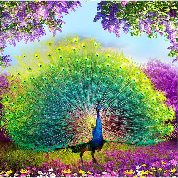 5D DIY Diamond Painting Peacock, Diamond Art Painting Colorful Peacock by Number Kits for Adults and Kids, Abstract Animal Arts Painted with Round