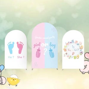 Babyshower Boog Achtergrond Dubbelzijdig Hoes Hij of Zij Jongen of meisje Vieren Pasgeboren Foto Muurachtergrond Aangepast
