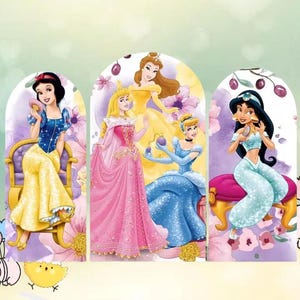 Sfondo ad arco per principessa Disney, copertura laterale doppia, sfondo rosa per fotografia, baby shower, compleanno, decorazioni per feste personalizzate