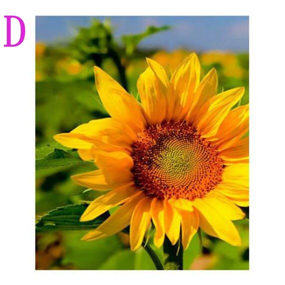 Diamond Dotz Happy Day Sunflower Embroidery Kit