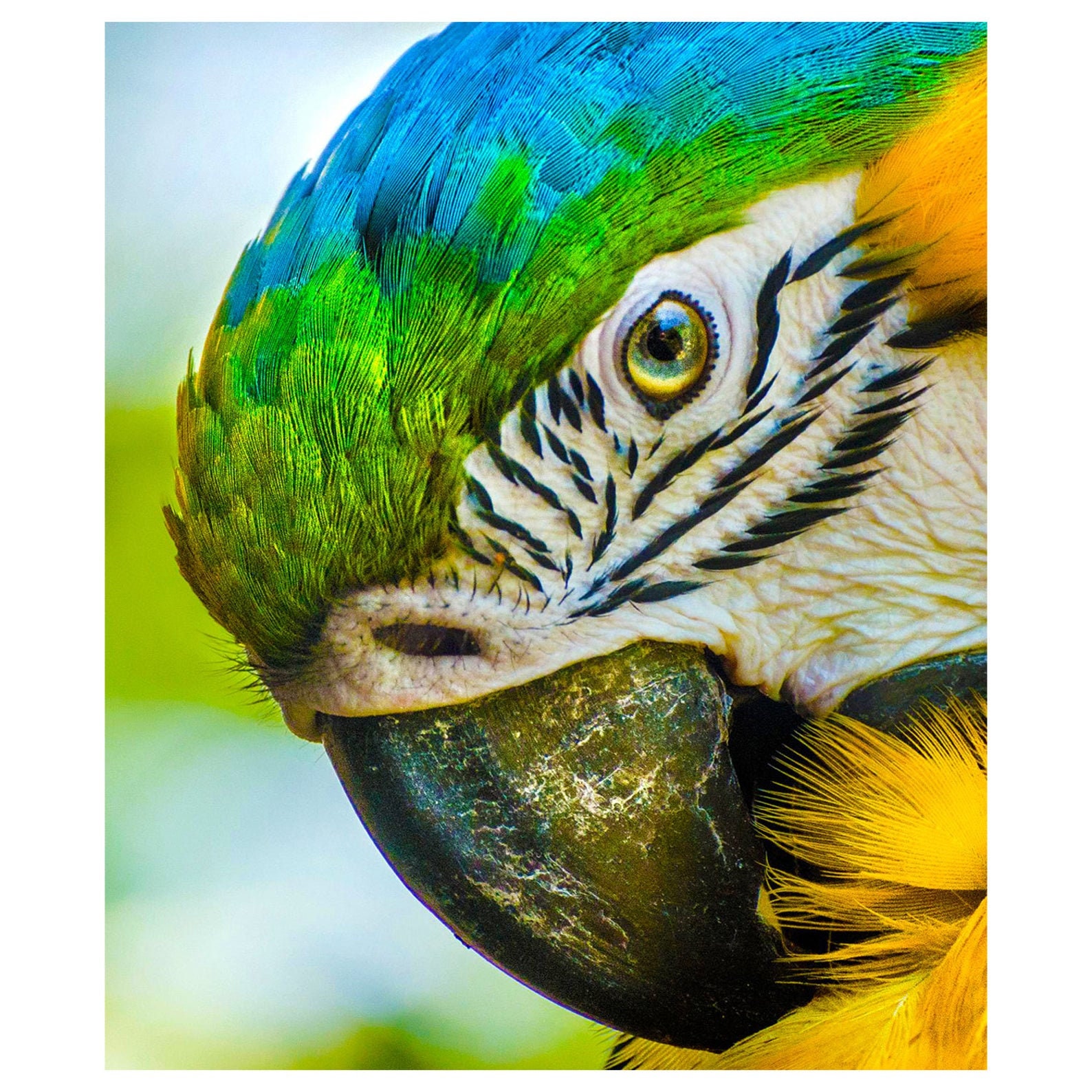 thumbnail image 2 of DIY Bird Diamond Painting Kits - High Quality & Fun Crafts 2 of 11