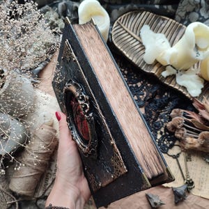 Pu&ograve; includere: Un diario rilegato in pelle nera con una cornice dorata decorativa e un design a forma di cuore rosso. Il diario &egrave; chiuso e ha un aspetto usurato e vintage.