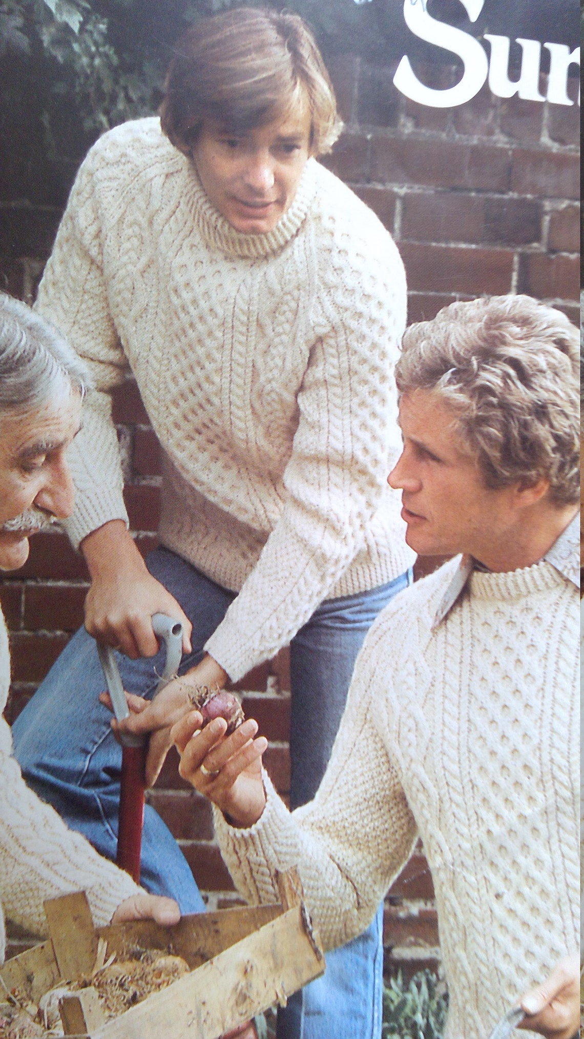Men's aran sweater knitting pattern by Sunbeam v neck Etsy