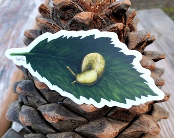 Banana Slug Vinyl Sticker; laptop decal, bumper sticker, Pacific Northwest art, nature sticker, nature art sticker, slug art, slug artwork