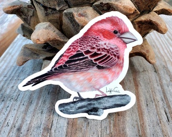 House Finch Bird Vinyl Sticker; red bird sticker, laptop decal, bumper sticker, nature sticker, nature art sticker, bird sticker, bird art