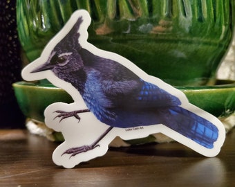 Stellar Jay Bird Vinyl Sticker - Hand-drawn Bird Art - Bird Lover Gift - Nature Lover Gift - Small Bird Art - Nature Art - Stellar Jay Art