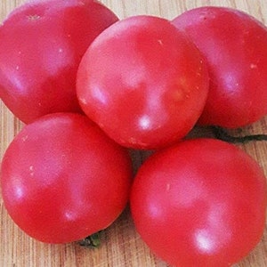 50 Pcs Organic Pink Ponderosa Raspberry Tomato Seeds-V173-Maliniak Tomato-Non GMO-Lycopersicon Esculentum image 2