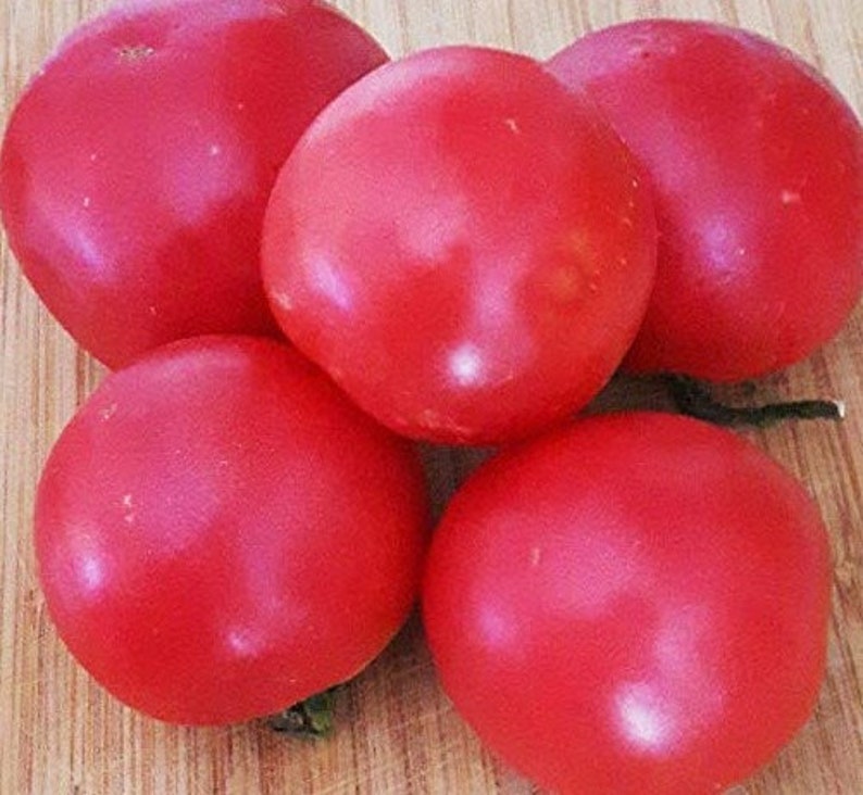 50 Pcs Organic Pink Ponderosa Raspberry Tomato Seeds-V173-Maliniak Tomato-Non GMO-Lycopersicon Esculentum image 2