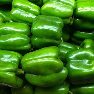 25 Pcs Organic Keystone Resistant Giant 3 Pepper seeds-Sweet Peppers-CAPSICUM ANNUUM / V071 image 2
