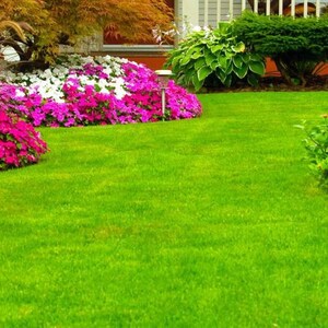 May include: A lush green lawn with a variety of colorful flowers in bloom. The flowers are planted in a curved bed along the edge of the lawn. There are also some trees and shrubs in the background.