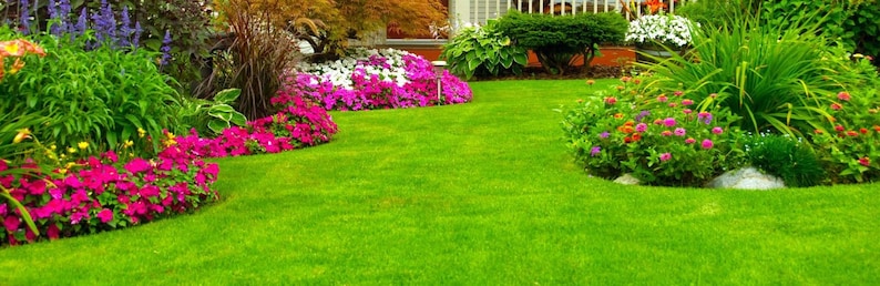 May include: A lush green lawn with a variety of colorful flowers in bloom. The flowers are planted in a curved bed along the edge of the lawn. There are also some trees and shrubs in the background.