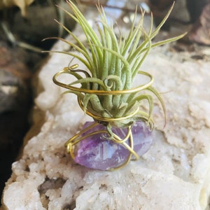 Amethyst Air Planter, Amethyst Air Plant, Crystal Air Planter, Air Plant, Crystal Air Plant, Air Planter, Home Decor, Air Plants