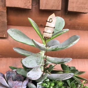 Copper Crystal Plant Stake, Plant Stake, Whimsy Stick, Garden Decor, Plant, Crystal Pot Sticker, Electroculture Gardening, Fairy Garden,