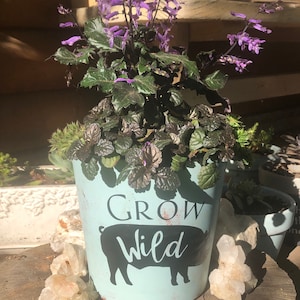 Grow Hog Wild Planter Pot, Flower Pot, Indoor Planter, Outdoor Planter, Garden Decor, Chalk Painted Pot, Pot, Planter Pot, 7.5”Planter
