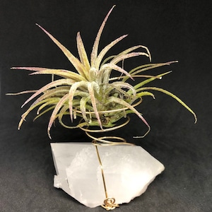 Quartz Crystal Air Planter, 150g, Natural Point, Self Healed