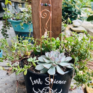 May include: A black planter with the white text Lost Science Crystals and moon graphics, containing a succulent plant and a copper wire stake. The stake features a clear quartz point, small purple and green beads, and a dangling light pink crystal.