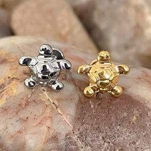 May include: Two small turtle-shaped stud earrings. One is silver, the other gold. They sit on a textured, multi-coloured stone. The earrings feature detailed shell patterns. The earrings are small.