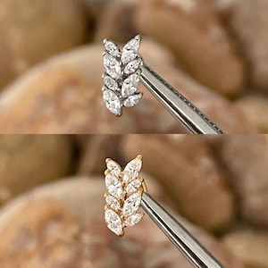 ASTM F136 Titanium Marquise Cubic Zirconia Gem Olive Fern Tree Leaf Effect Labret Helix Conch Cartilage Tragus 1.2mm 6/8mm