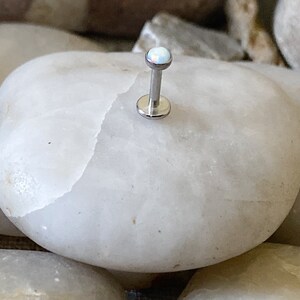 May include: A silver body piercing with a small, white opal gemstone. The piercing is on a white, smooth rock.