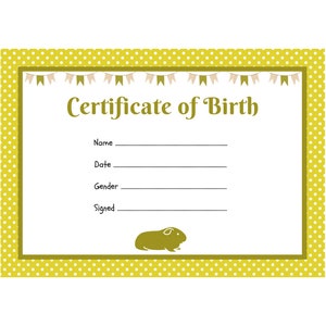 Certificato di nascita del porcellino d'India / PDF stampabile / Download A4 / Modello per stampa istantanea a casa / Pois gialli
