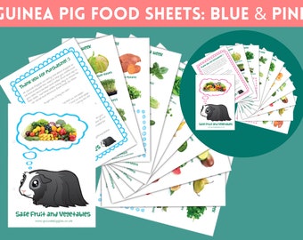 Guinea Pig FOOD list Printable PDF - Pink and Blue BUNDLE | Safe Fruits & Vegetables Chart for Daily Diet