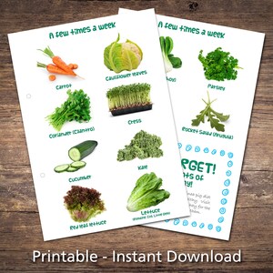 Guinea Pig Food List Printable PDF Safe Fruits &amp; Vegetables Chart for ...