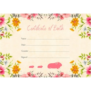Geboorteakte cavia | Afdrukbare PDF | A4 downloaden | Direct thuis afdrukken sjabloon | Bloemen