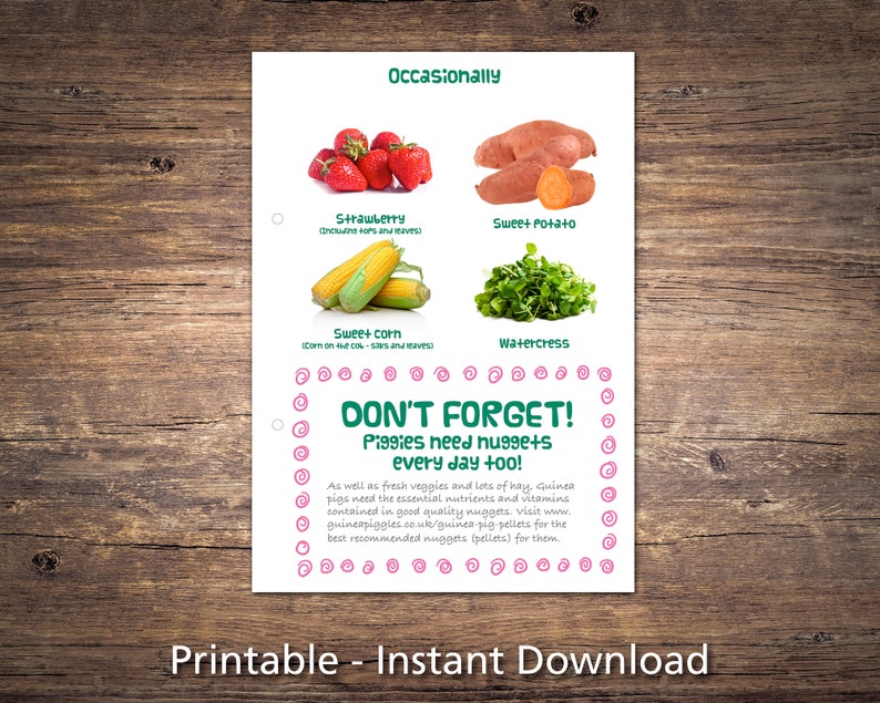 Guinea Pig Food List Printable PDF Safe Fruits &amp; Vegetables | Etsy