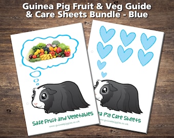 Guinea Pig Care Sheets Bundle Printable Checklists Charts &amp; | Etsy UK