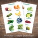 Guinea Pig Food List Printable PDF Safe Fruits &amp; Vegetables Chart for ...