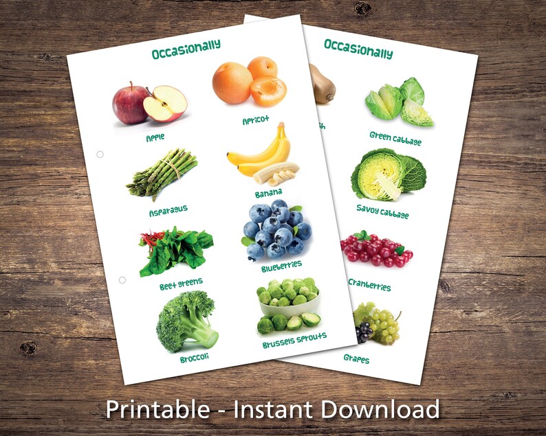 Guinea Pig Food List Printable PDF Safe Fruits Vegetables Etsy UK guinea-pig-food-list-printable-pdf-safe-fruits-vegetables-etsy-uk
