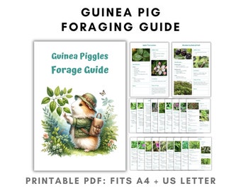 Guinea Pig Forage Guide - 21 Wild Foods: Safe Weeds + Plants PDF Printable