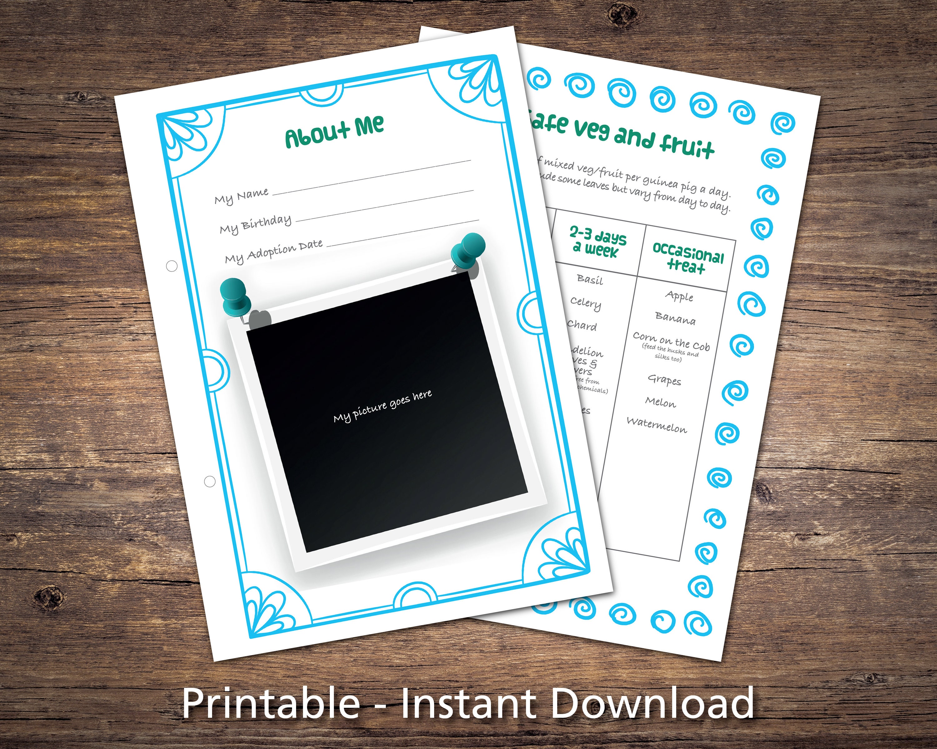 Guinea Pig Care Sheets Bundle Printable Checklists Charts & | Etsy UK