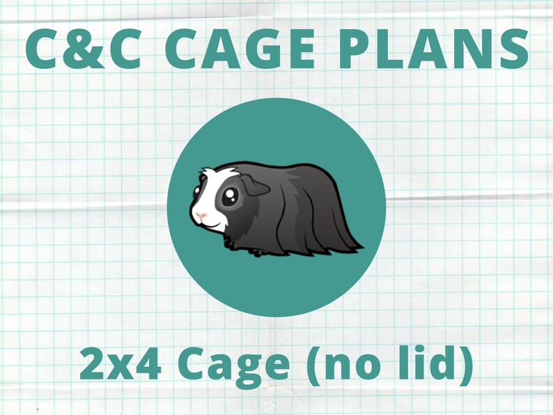 Guinea Pig C and C Cage Plans Step by Step 2x4 Cage How to Etsy UK