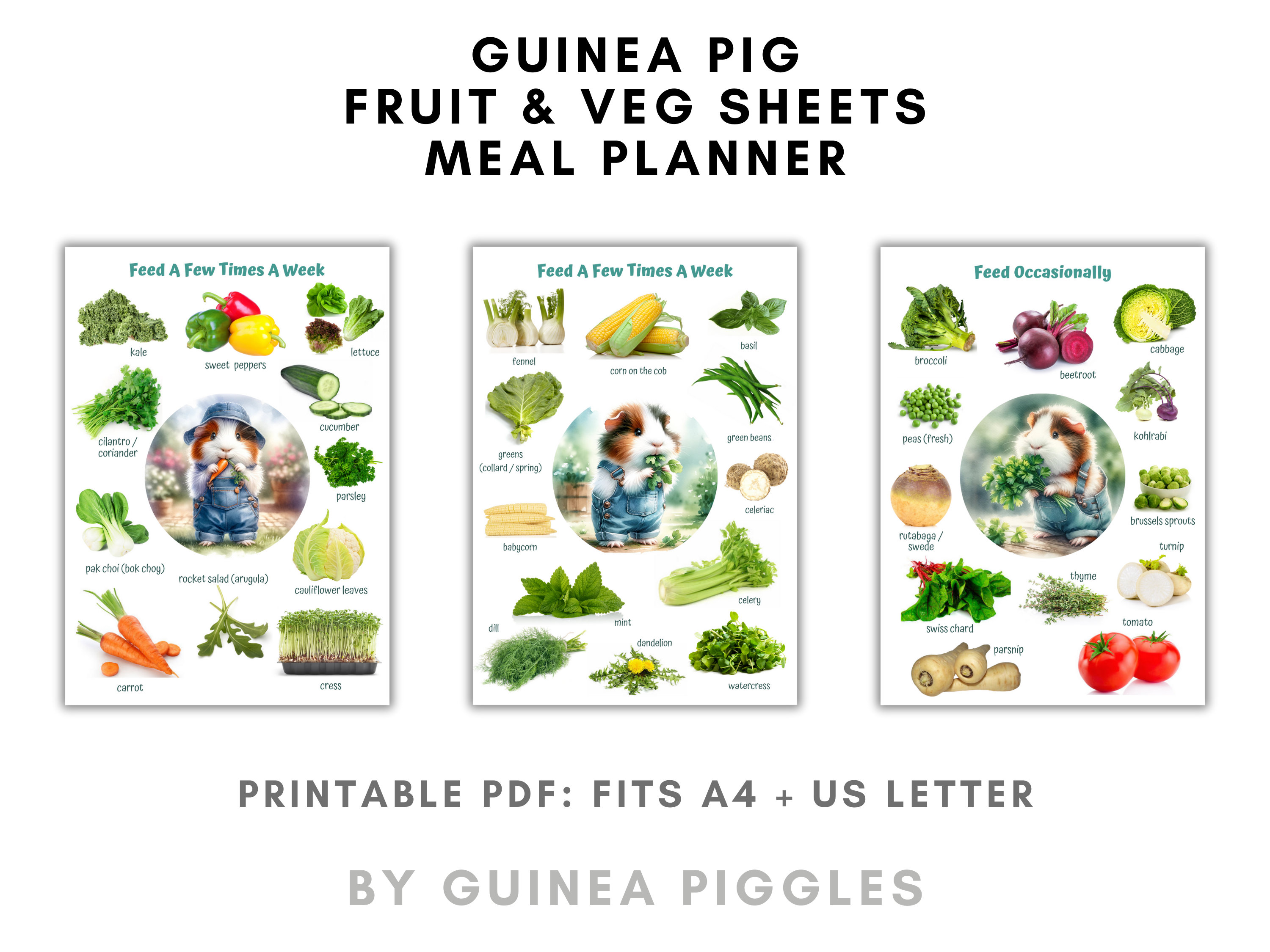 A closer look at Healthy Guinea Pig Eggs And Meal Planning