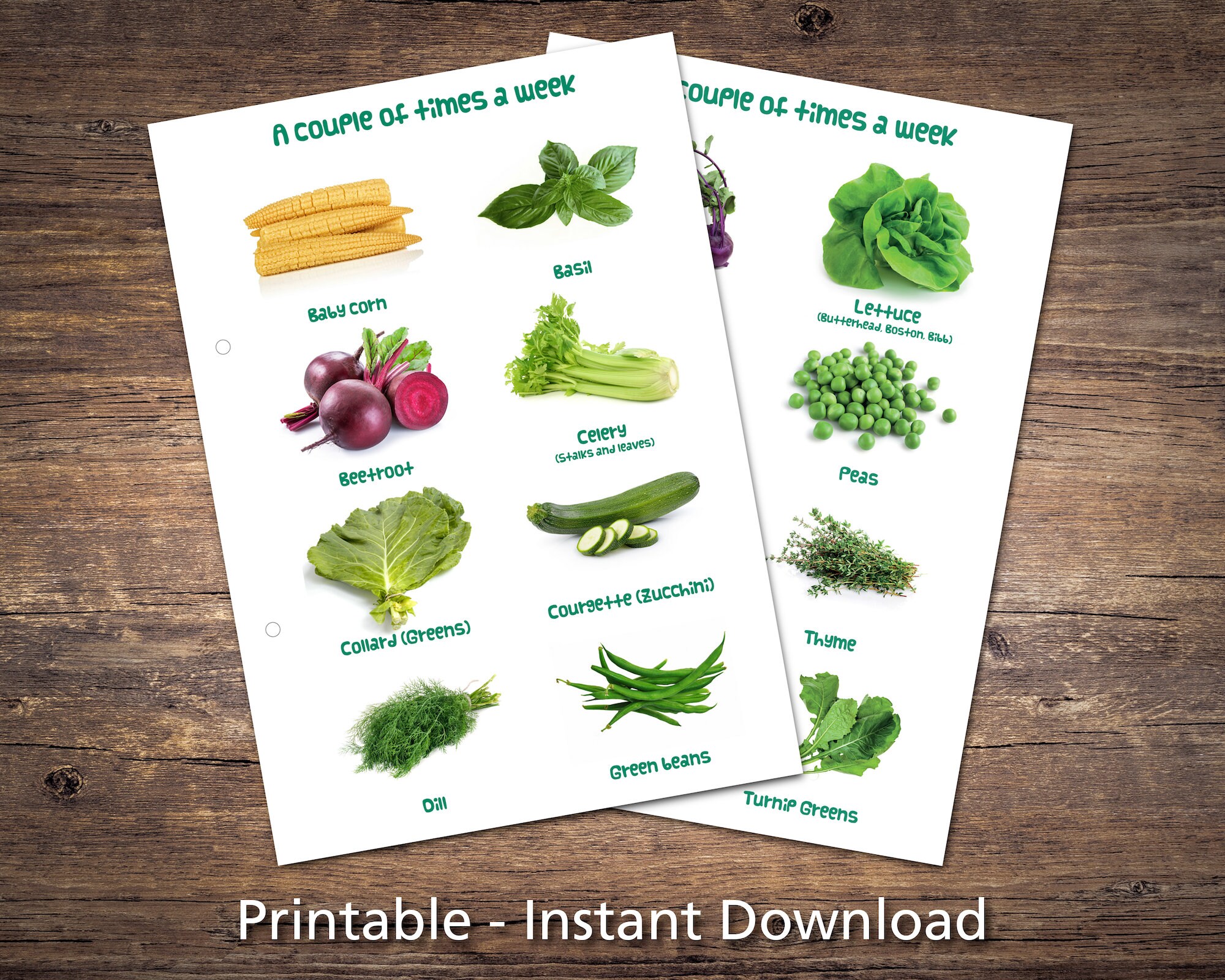 Printable Guinea Pig Food Chart Printable Word Searches