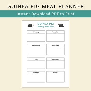 Guinea Pig Weekly Meal Planner Organiser Sheet Digital Printable PDF by Guinea Piggles image 2