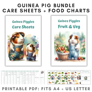 Verzorgingsbladen en voedselkaarten voor cavia's, downloads van pdf-printables