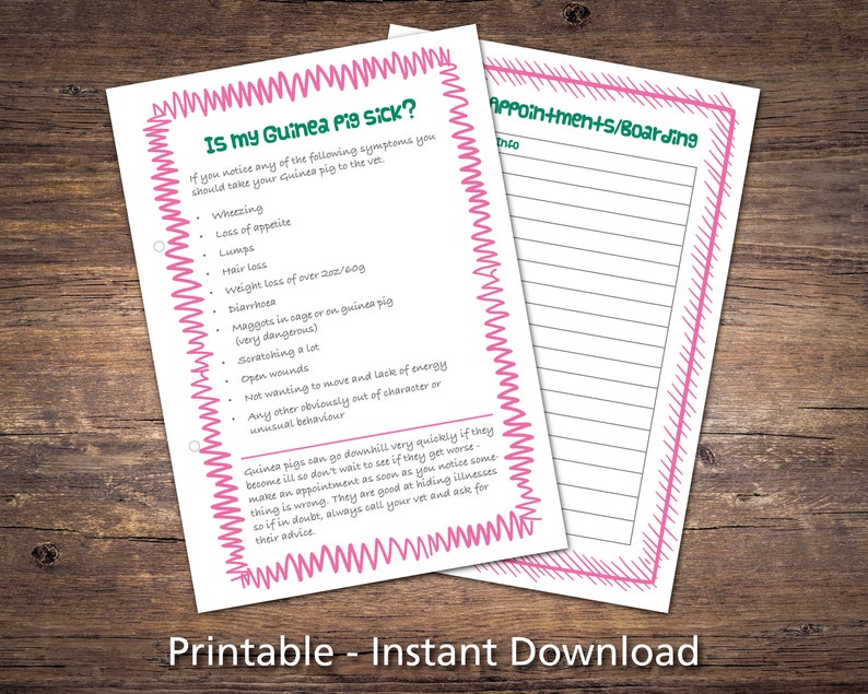 12 Guinea Pig Care Sheets Printables Checklists Charts & Information Daily Routine Digital Download PDF image 4