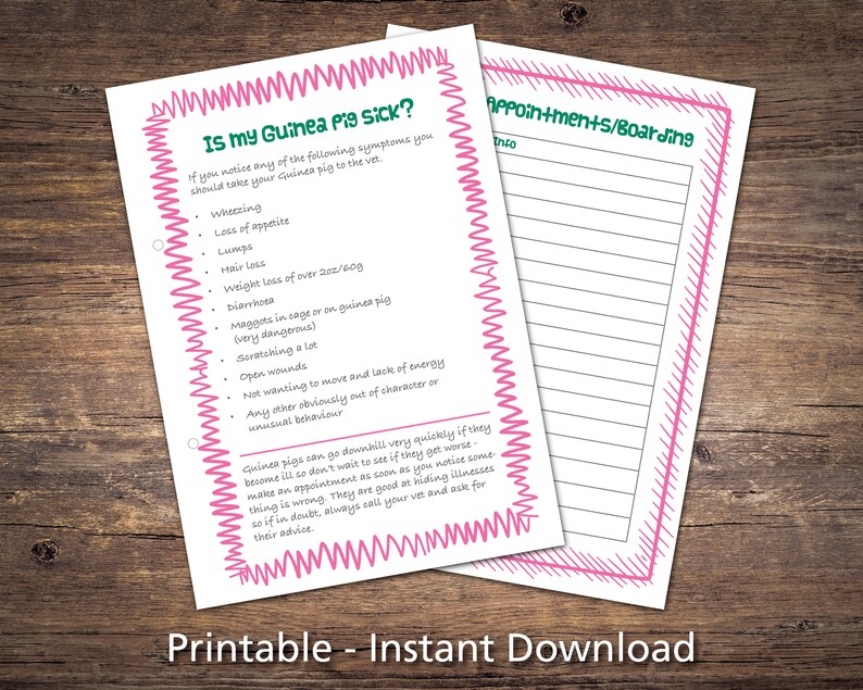 Guinea Pig Care Sheets Bundle Printable Checklists Charts &amp; | Etsy UK