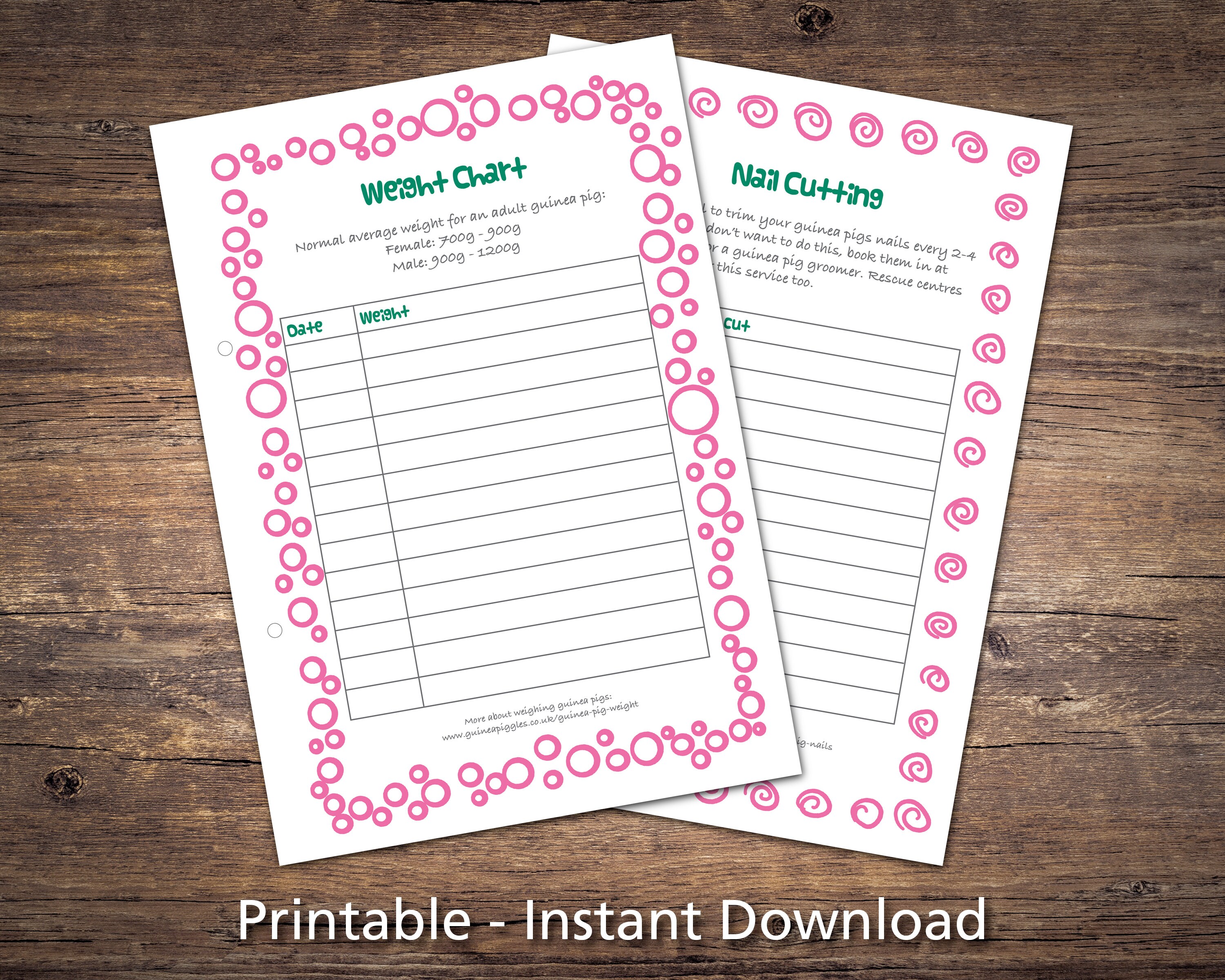 Guinea Pig Care Sheets Bundle Printable Checklists Charts & | Etsy